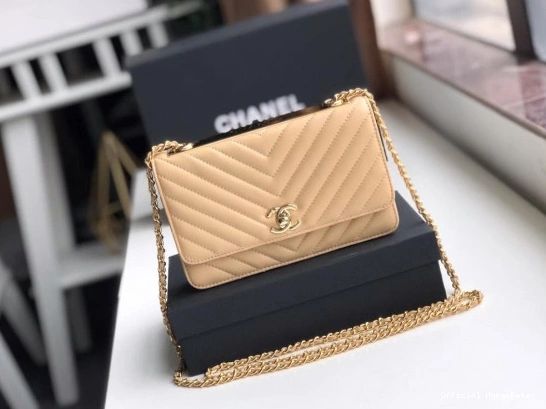 HyperPeter CHANEL CHAIN WALLET 0730